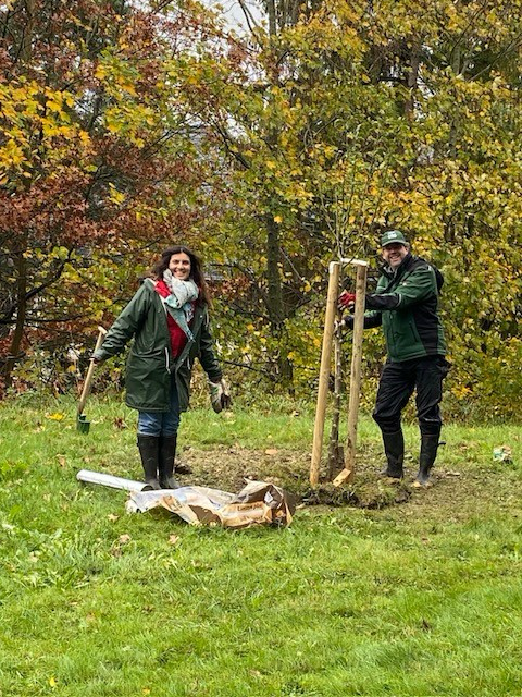 Apfelbaum Challenge3