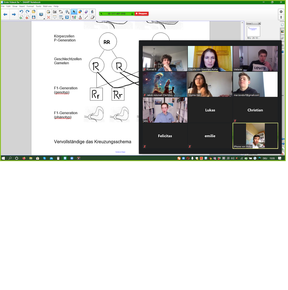 screensh_Videokonf_mit_9a