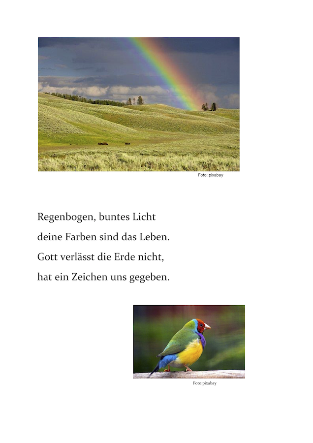 Regenbogen.png